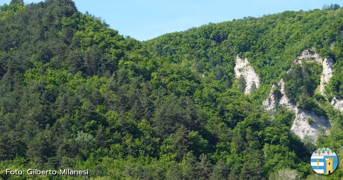 Immagine header 2 per Natura