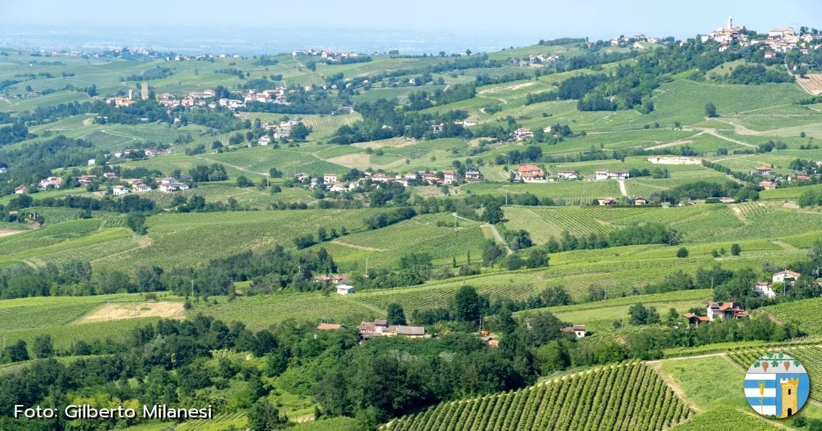 Immagine header 3 per Canevino