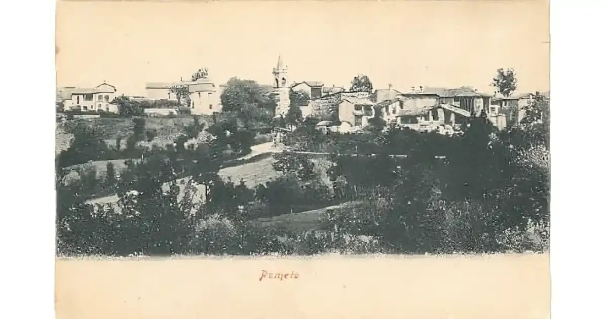 ph: Pometo inizio 1900