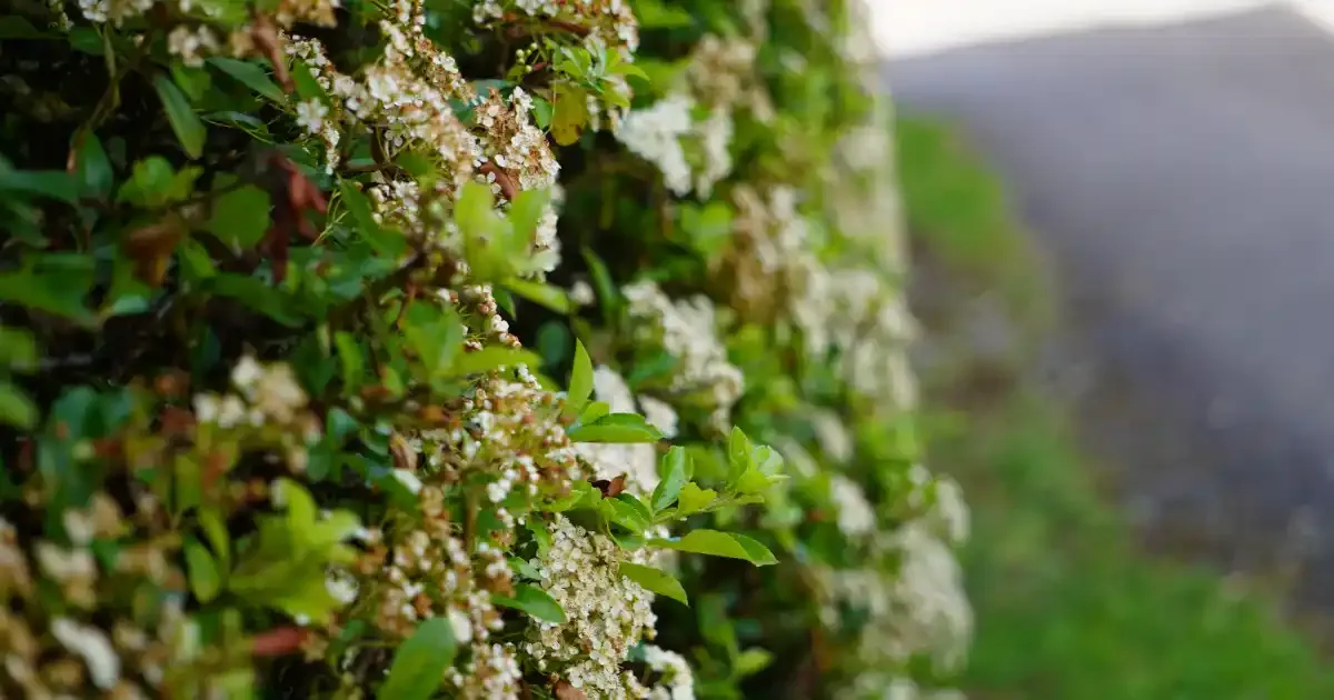 Immagine gallery 6 per Natura