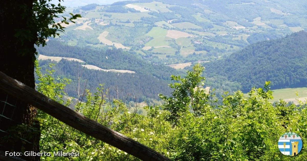 Immagine header 3 per Valverde