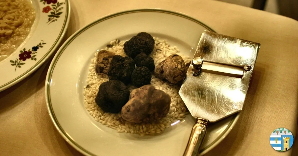 Immagine header 1 per Funghi e tartufi