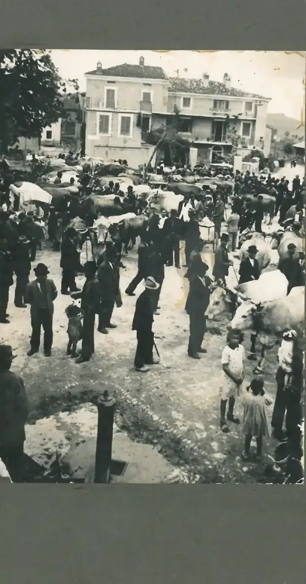 ph: Fiera del bestiame - Pometo | anni '30