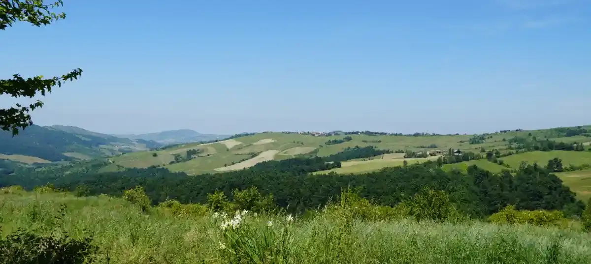 immagine del borgo 5: Scopri Colli Verdi e il suo territorio