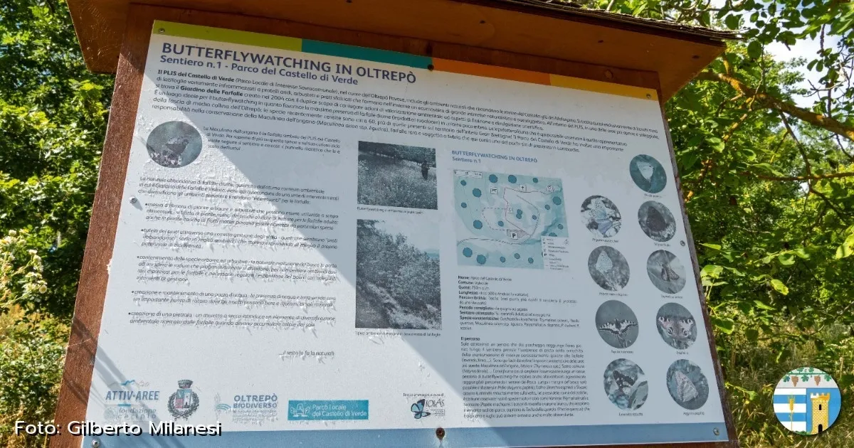 Immagine header 3 per Giardino delle farfalle - Valverde