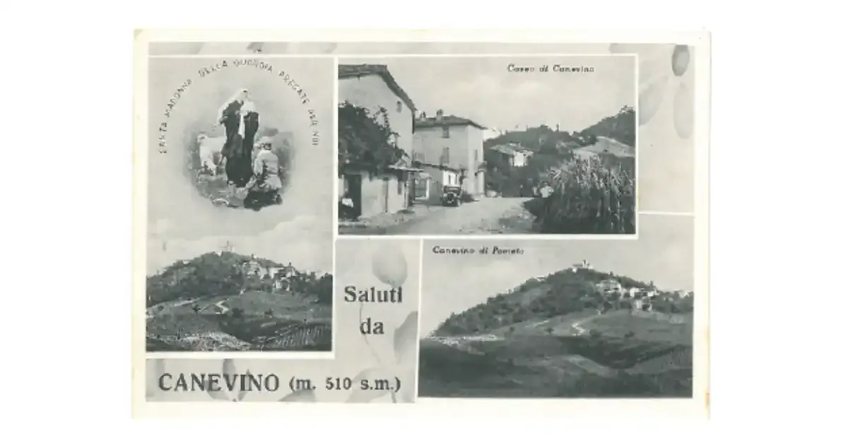 ph: Cartolina - Saluti da Canevino