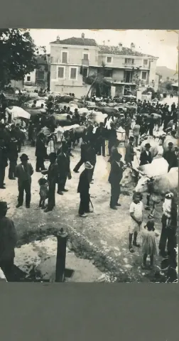 thumb: Fiera del bestiame - Pometo | anni '30